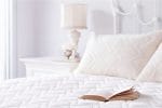 Dormeir Mattress Protector for FloBeds Latex Mattresses