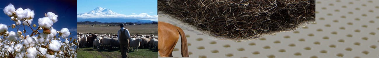 Picture of Horsehair & Cotton