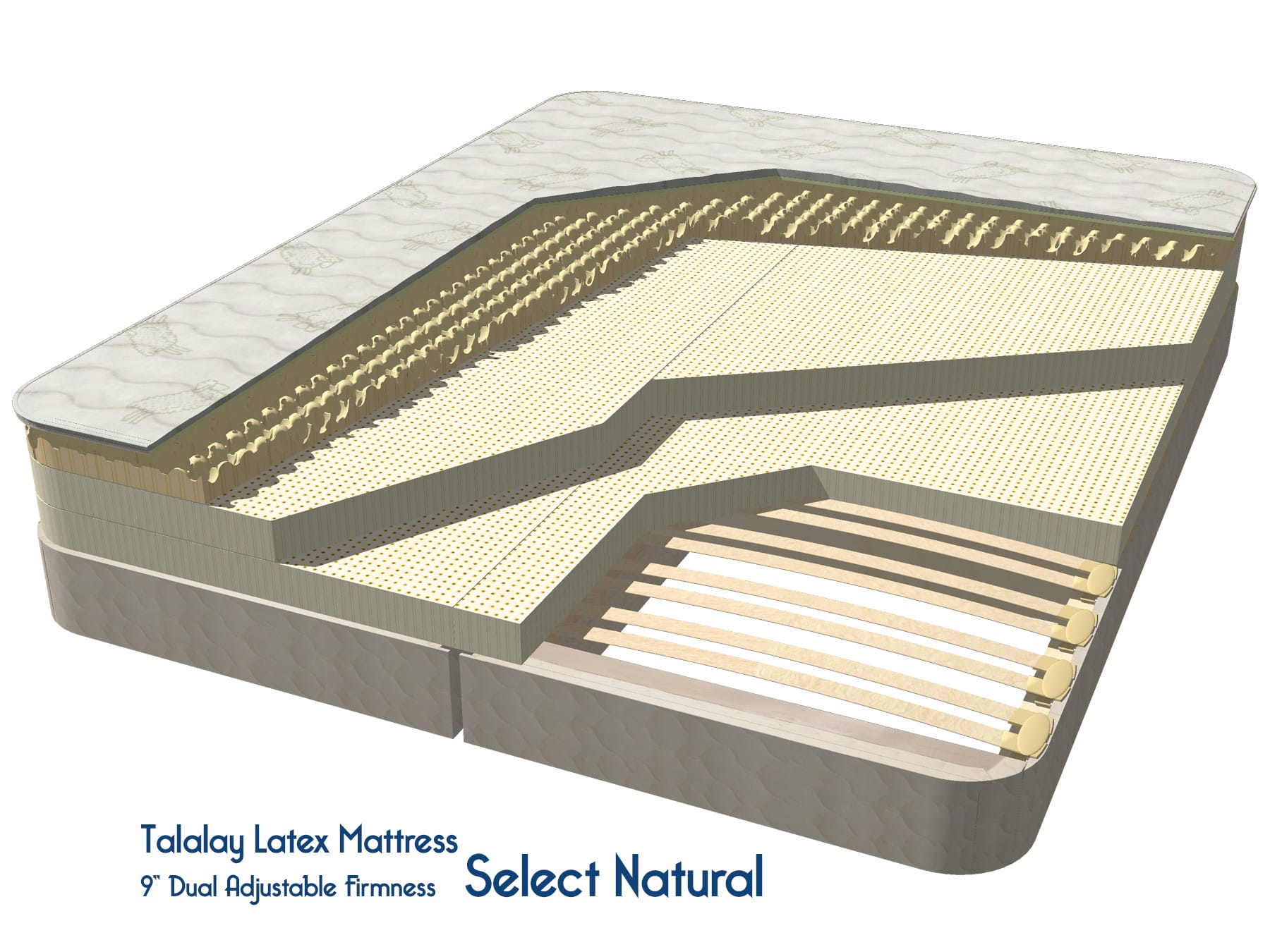Select-Natural-Mattress-illustrations Talalay Latex Mattress Select Natural Latex Mattress