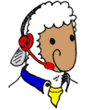 phoneflo chat and phone service flo