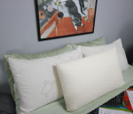 Natural Latex Foam Pillow