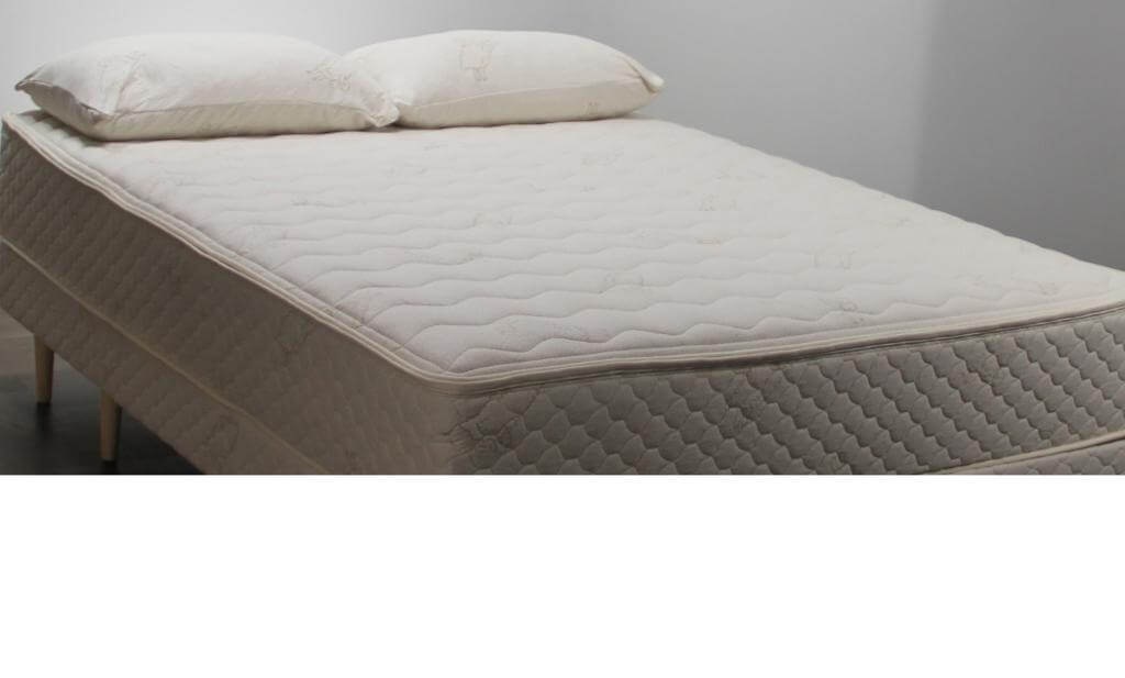 FloMattressWhiteBottom FloBeds Mattress Customized Firmness for both sides