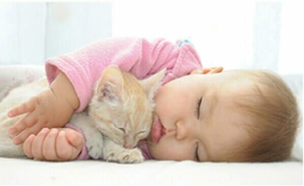 Talalay-Global-Baby-Safe-BABY