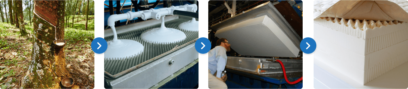 the latex mattress creation process