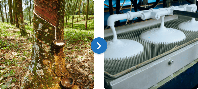 the latex mattress production process